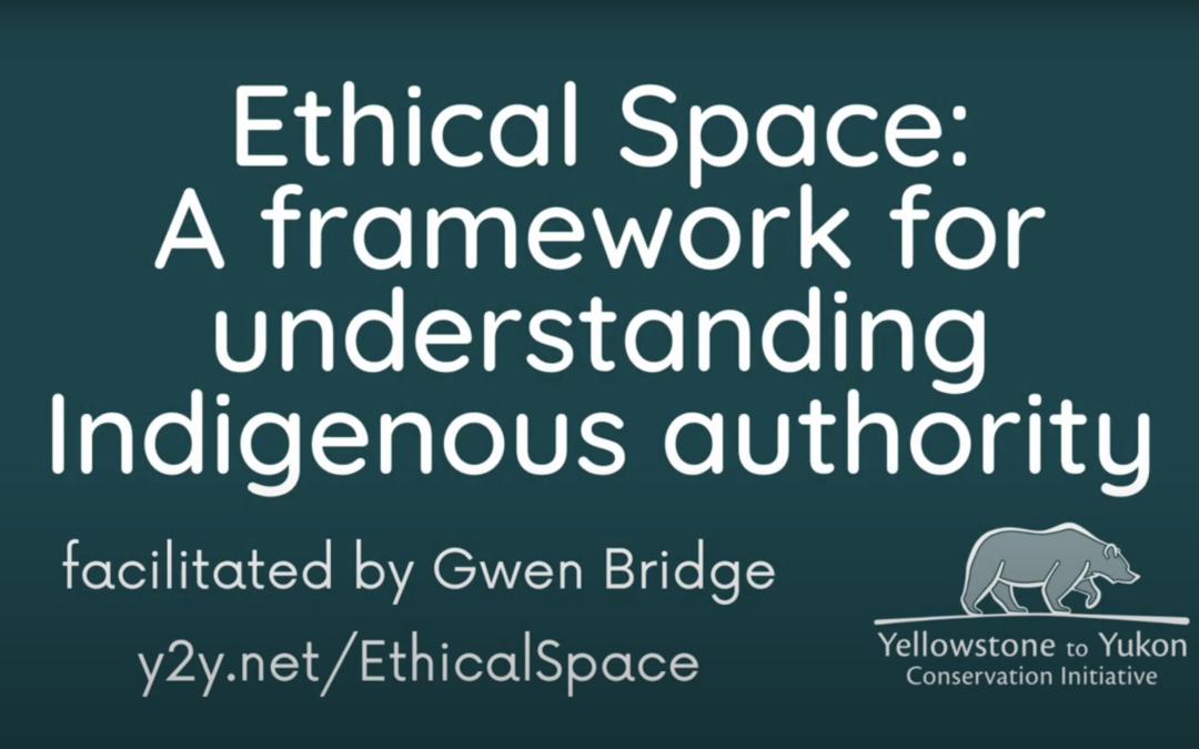 What is Ethical Space? An intro to Indigenous authority in conservation